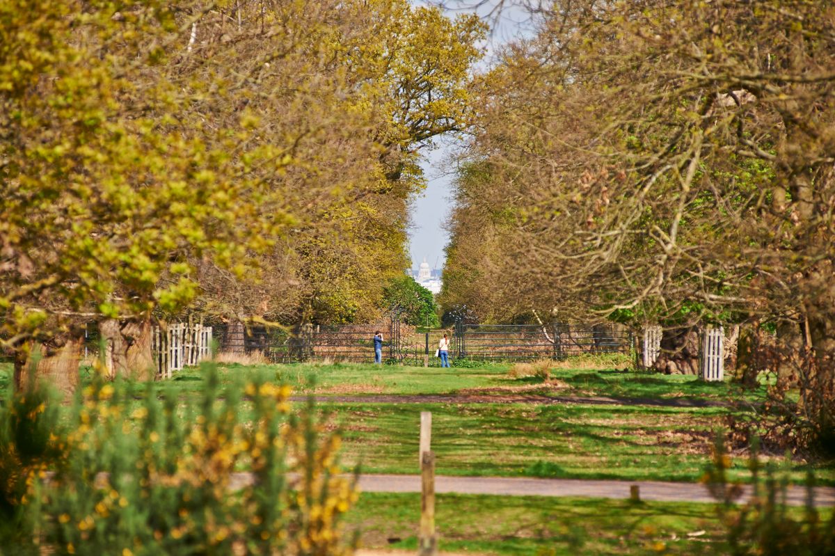 mindfulness events at richmond park