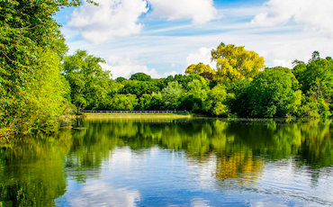 Monthly Mindful Hiking in London