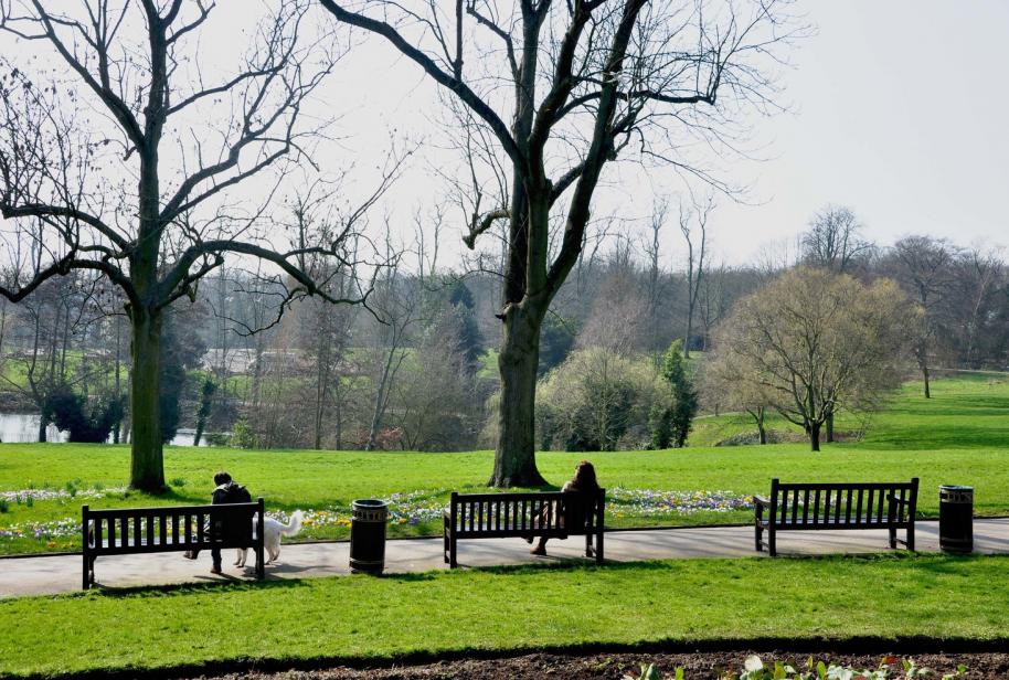 Mindfulness at Waterlow Park